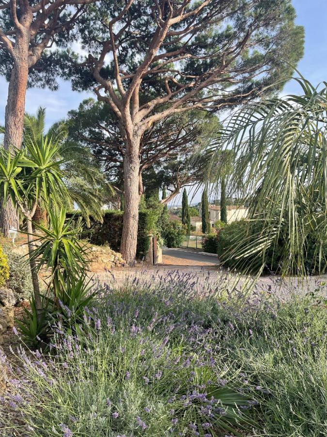 Paradis Provencal Bed & Breakfast Sainte-Maxime Exterior photo